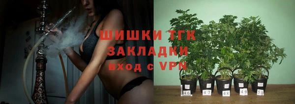 spice Беломорск
