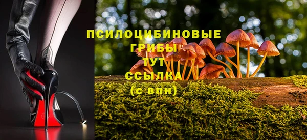 PSILOCYBIN Белоозёрский