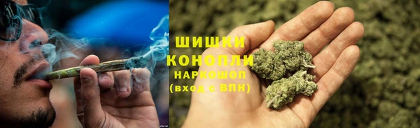ПСИЛОЦИБИНОВЫЕ ГРИБЫ Богородск