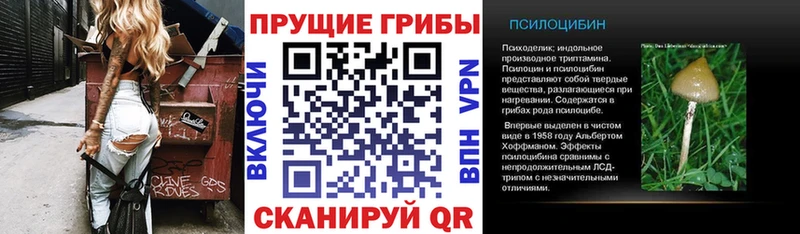 Галлюциногенные грибы Magic Shrooms  OMG ONION  Бокситогорск  купить  сайты 